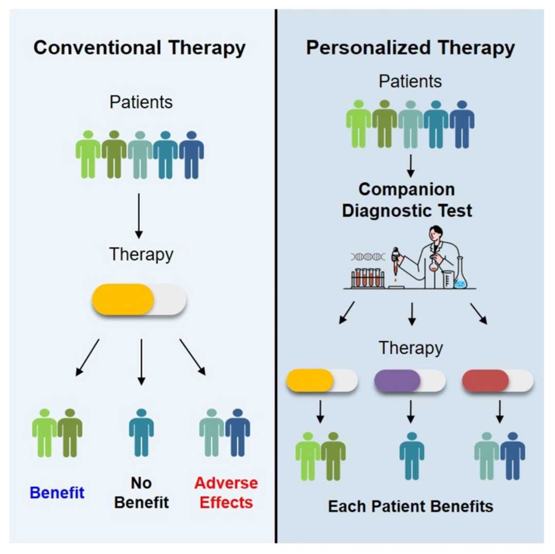 Companion diagnostics (CDx) based on molecular biology techniques