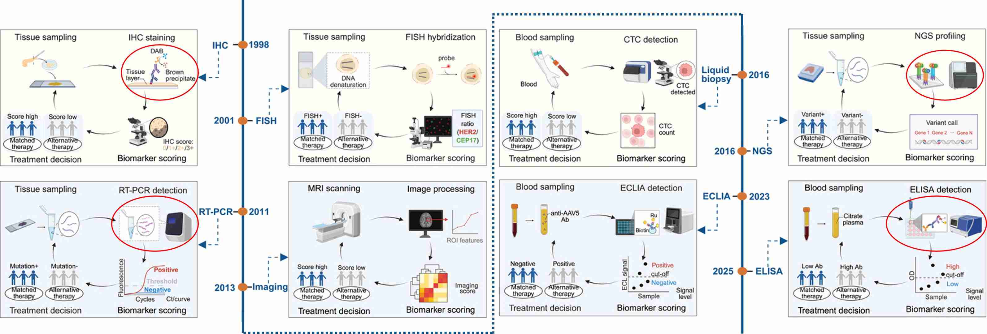 Analytical approaches used in CDx development