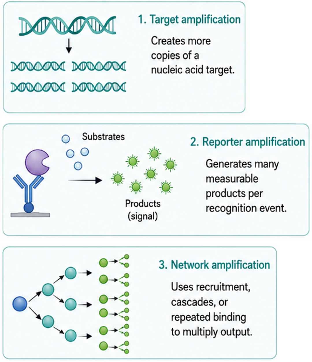 Comparison of target, reporter, and network amplification