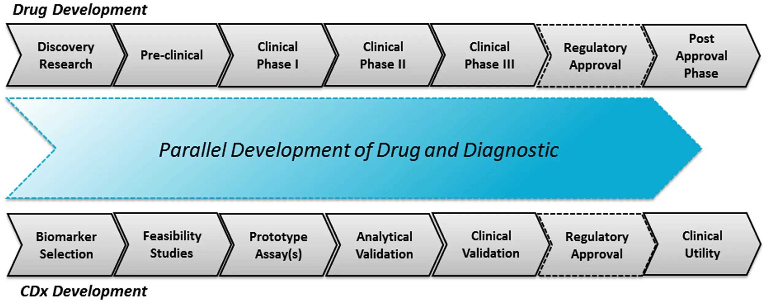Companion diagnostics for targeted cancer drugs &ndash; clinical and regulatory aspects