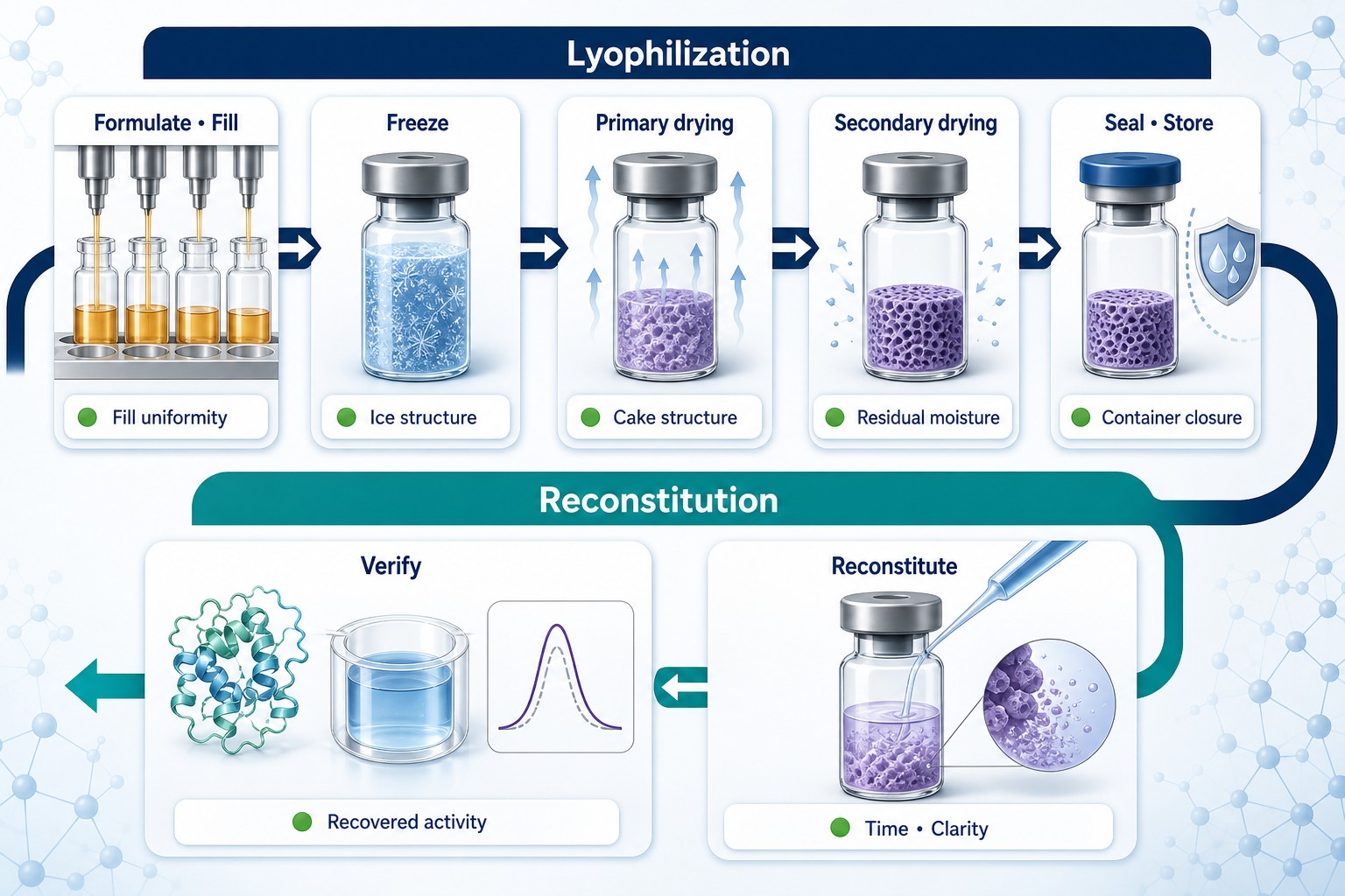 Lyophilization and reconstitution critical-attribute map