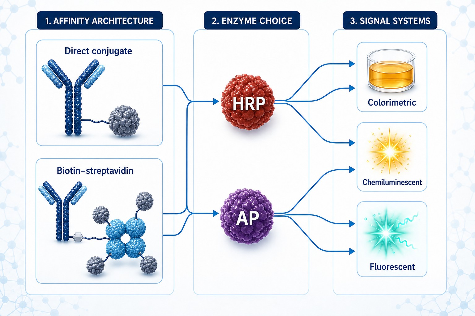 Affinity architecture to signal-system map