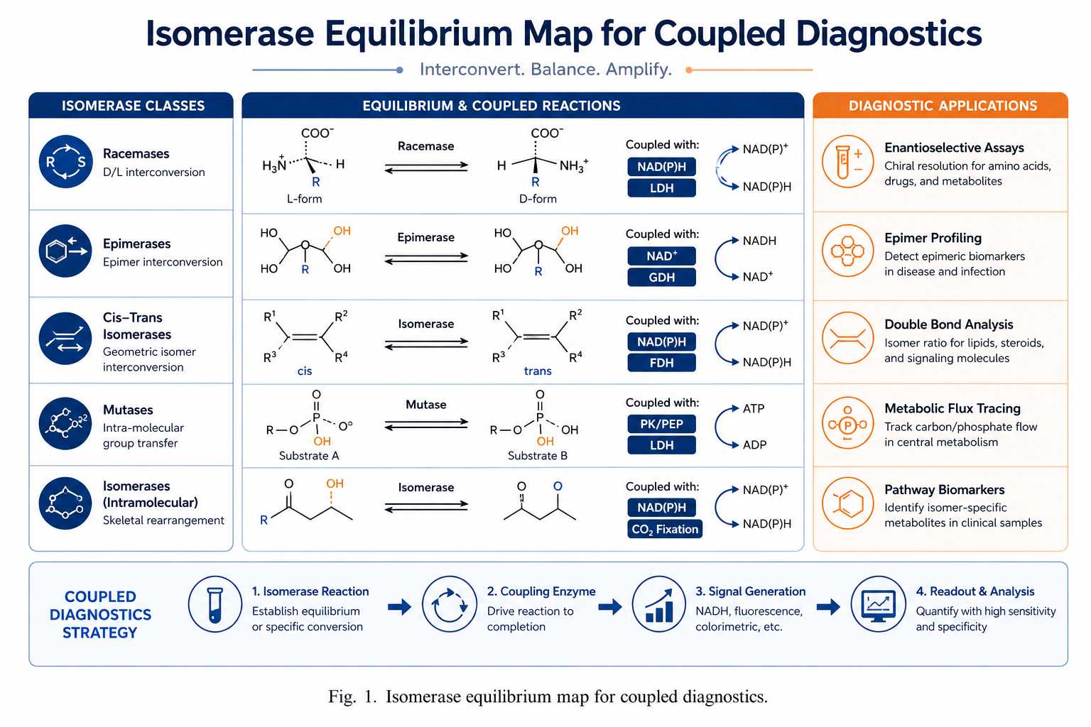 Isomerase equilibrium map for coupled diagnostics
