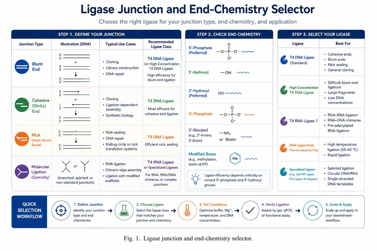 Ligase junction and end-chemistry selector