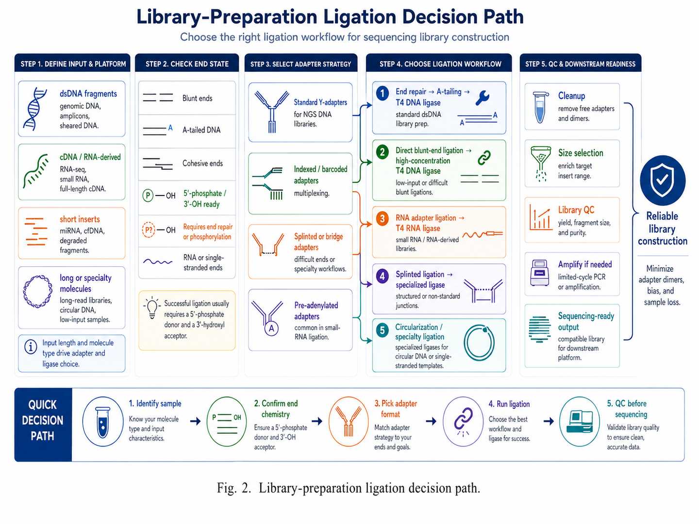 Library-preparation ligation decision path