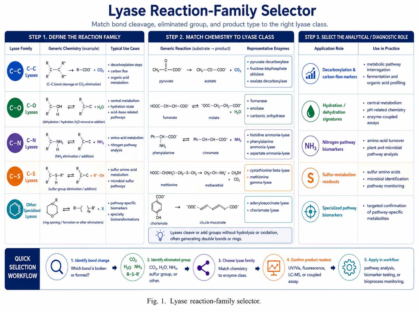 Lyase reaction-family selector