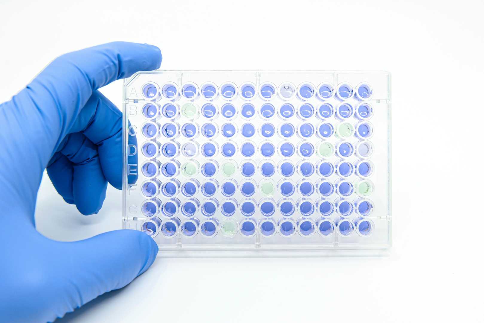 Diagnostic Enzyme Screening Matrix