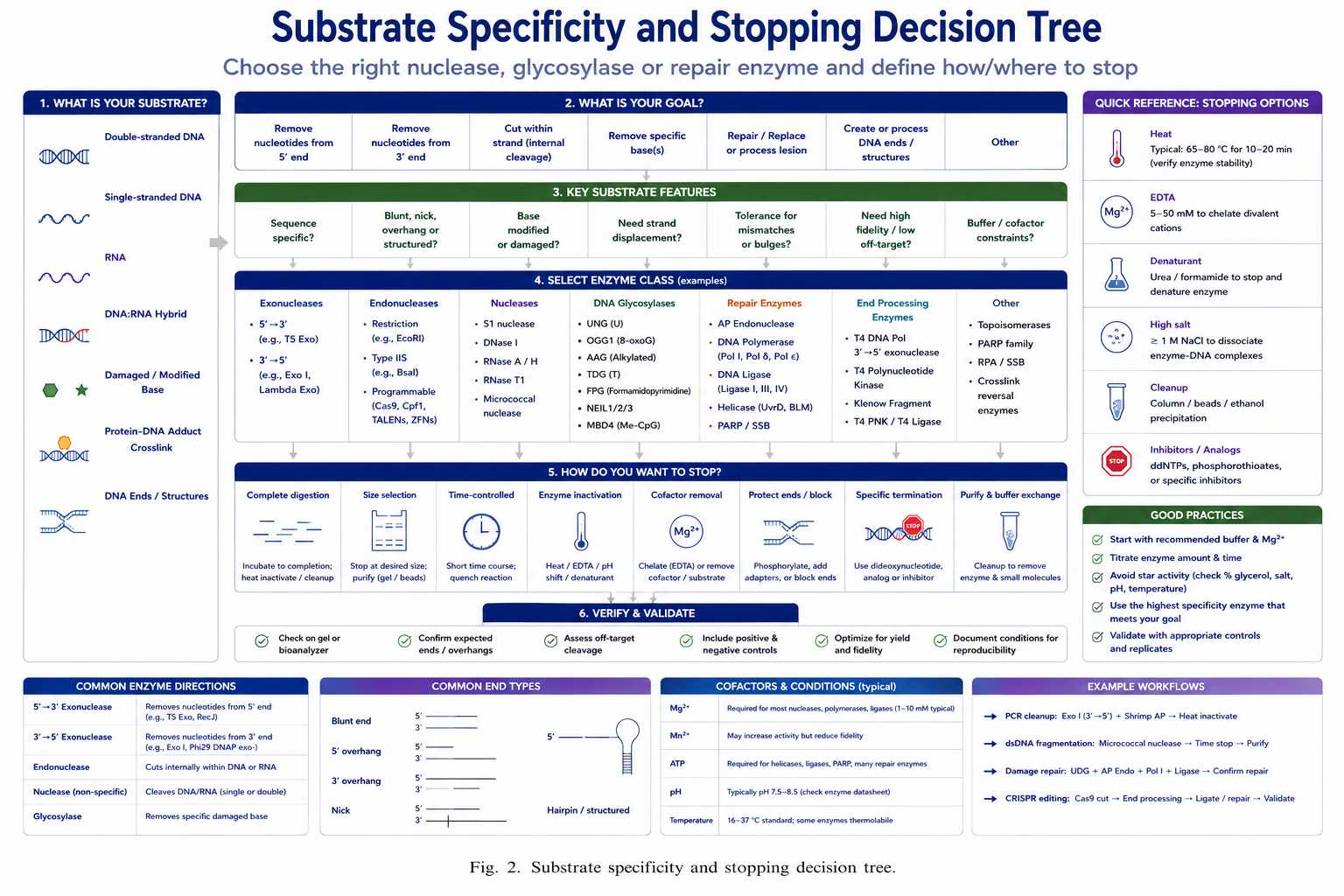 Substrate specificity and stopping decision tree