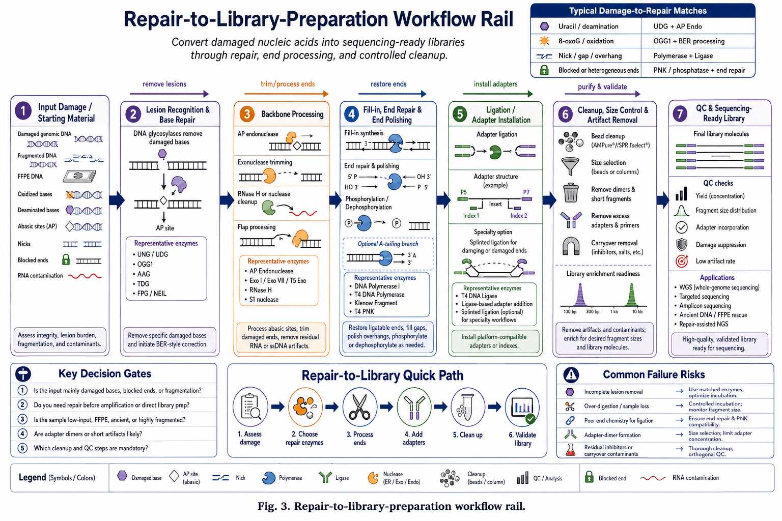 Repair-to-library-preparation workflow rail