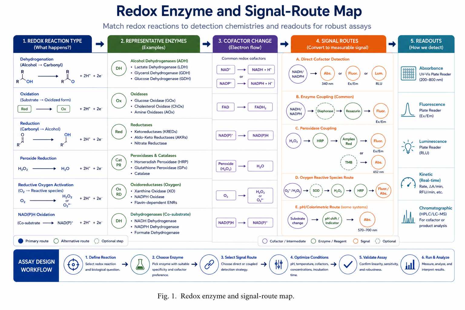 Redox enzyme and signal-route map