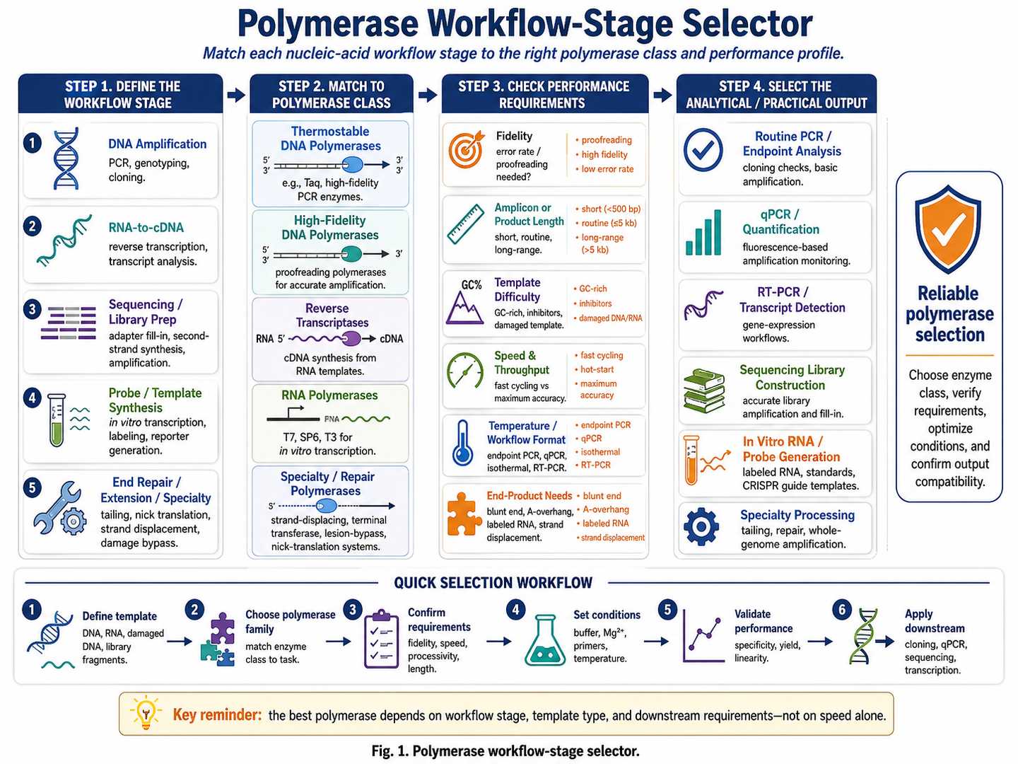 Polymerase workflow-stage selector