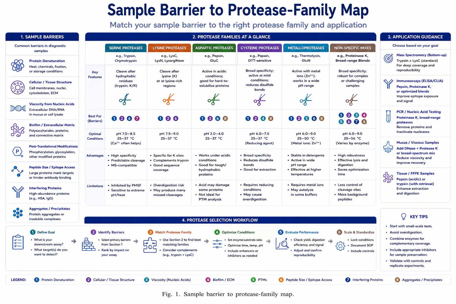 Sample barrier to protease-family map