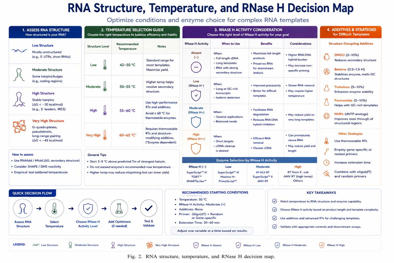 RNA structure temperature and RNase H decision map